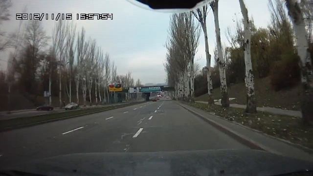 Олень перебегал дорогу под пешеходным мостом