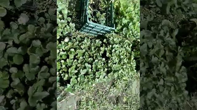 491352b1cca52e0fd03f0433b6f1fb3d