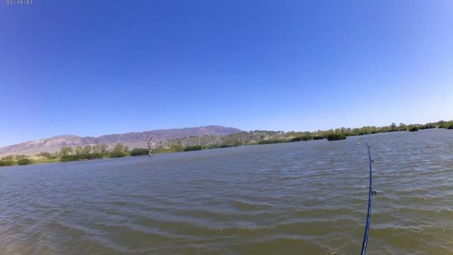 Рыбалка 22- 23 мая 2021 год. Михайловское озеро, Алматинская область.