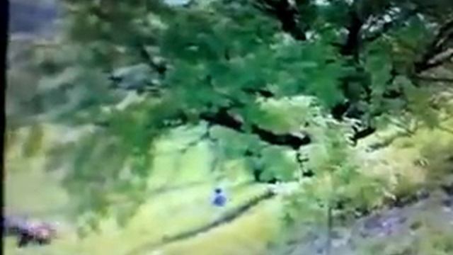 падение квадроцикла