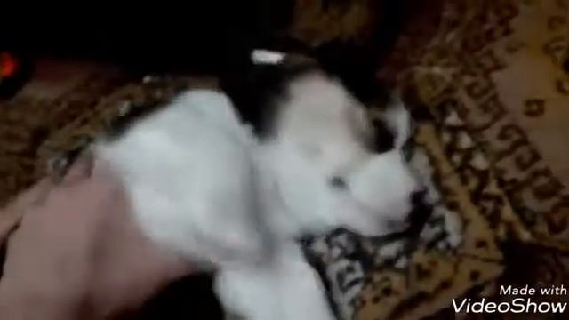Риччи погрузился в глубокий сон?. Ржакасмотреть всем???