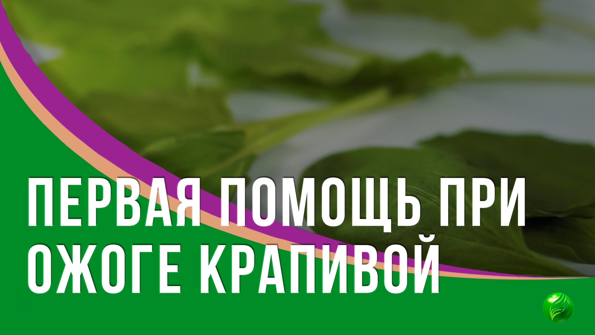 Первая помощь при ожоге крапивой