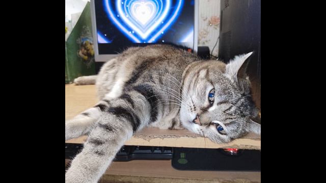 Лялюша пишет письмо деду морозу,учит русский язык,а после отдыхает))))