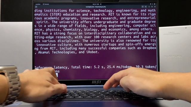 TinyChatEngine Chat Demo On Nvidia GeForce RTX 4070 Laptop