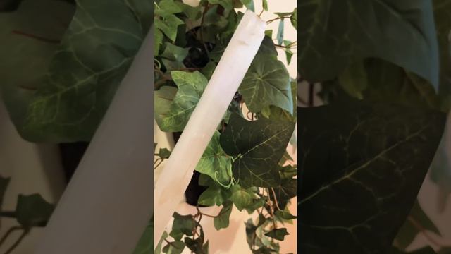 267d3a9b0161b7d56a4beb6bd06603ce