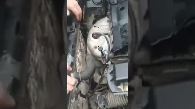 Citroen Chronicles: The Winding Path