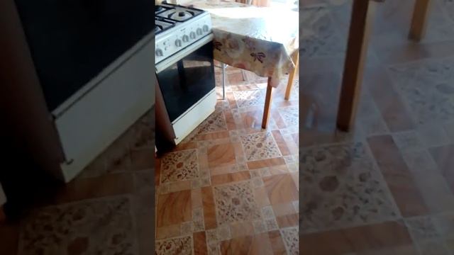 Аквапарк на дому