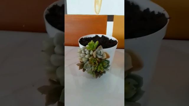 F83aea2991686f4d8ba2dcc467ccc624