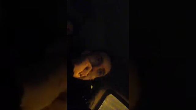 Артак Акопян   Рээппп