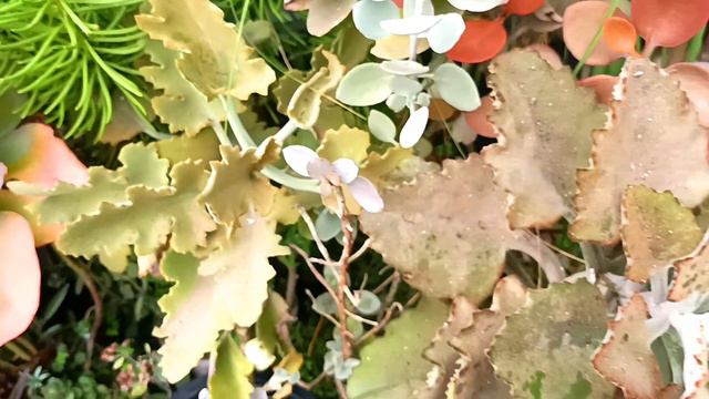 Fec95b8c5622ba80ee5497293a0ec469