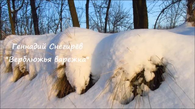 Г. Снегирёв 