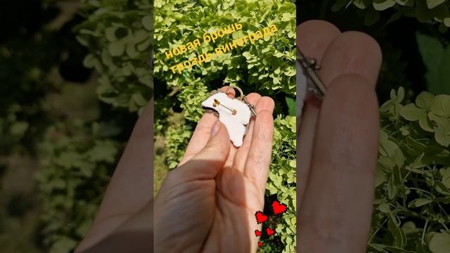 7ee7299bbd8b6fc155a9f8cbc39cd3c4