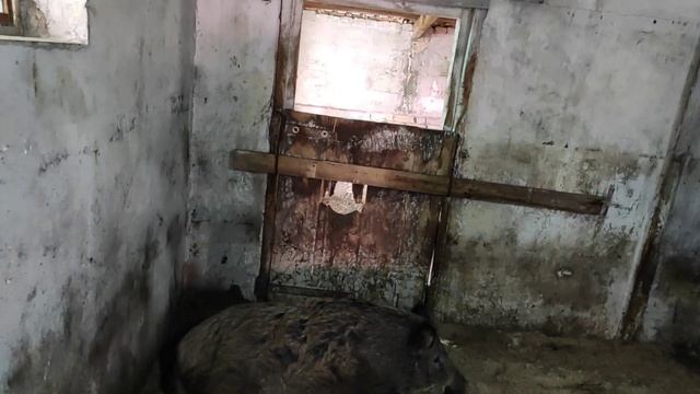 Ebee4a2fa03e4656d732c43142b57820