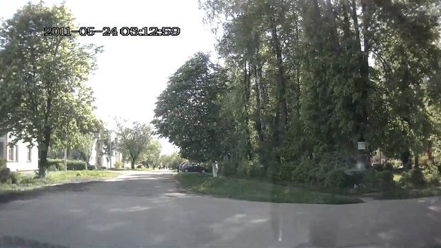 Хозяйки выгуливают шарпея