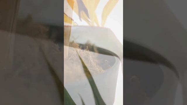 B234a1a3b243723efa395a30b002183b