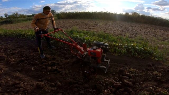 ОГОРОД пахаю фрезами БЫСТРЕЕ чем плугом tearing roots
