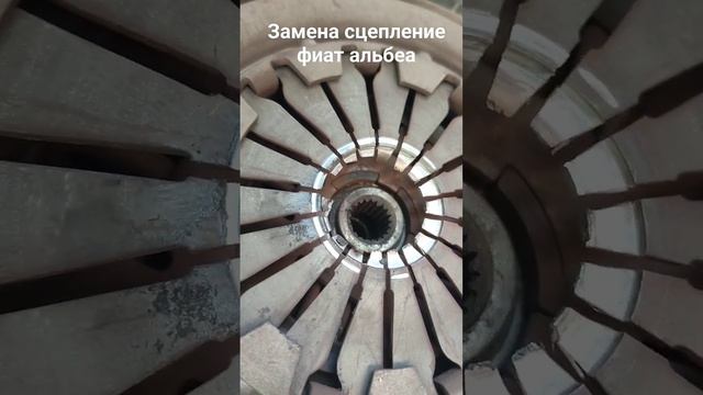 Fiat: движение души