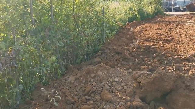 Застройщики Лобни, Подмосковья, Ленинградской области, стоимость зелёного строительства на болоте