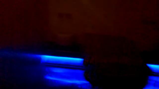 П'ятий Океан . Трускавець