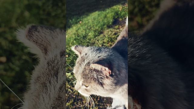 запутанный день