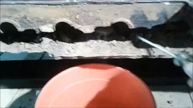 Строительные Инсайты