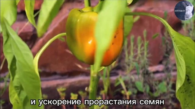 674186e7b3d798888d7e680047ae7196