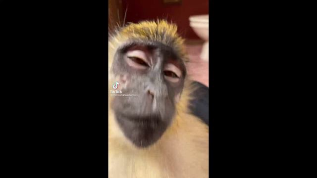 D434ef113727e265a31a32c4e838ed44