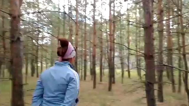 Сосновый лес, маслята зернистые