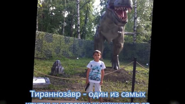 2017 - год экологии. Обо всем понемногу