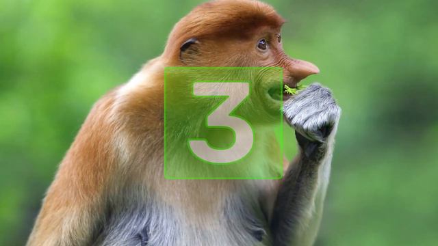 8145aaeece854c21f982ca8e0f0e72a7