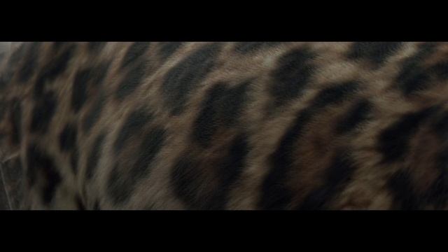 Rainbow_Snowman_The_Panthère_through_time.mp4