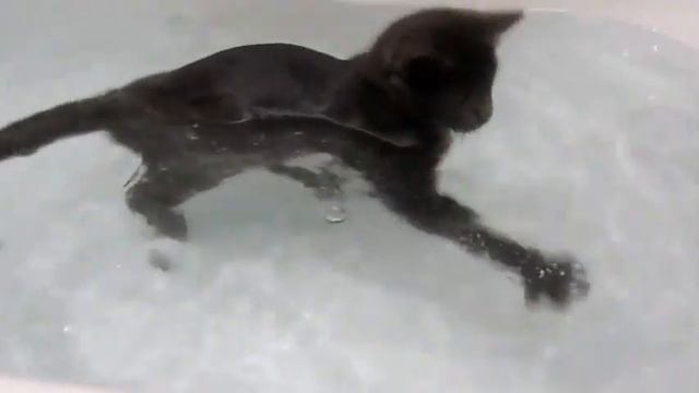 2a18d792088a1ec2be0a6277afdd0027