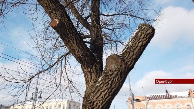 Eafe637198ea097681fcb790388a824c