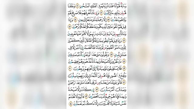 Muhammadloiq Qori- Yasin surasi Surah 36. Ajoyib qiroat .