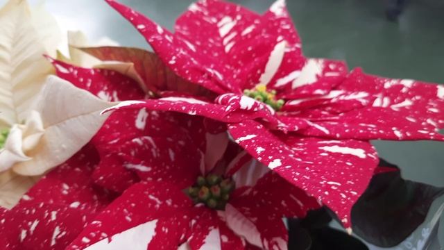 18ab363e45713955e21273888e21865d