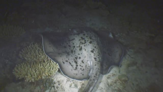 Ab82f14727f61f99bfb9def9b884b13d