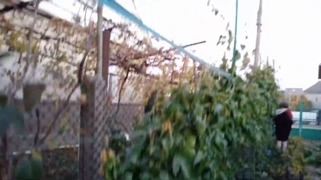 F76866d14d603c25026176f95dd4d48c