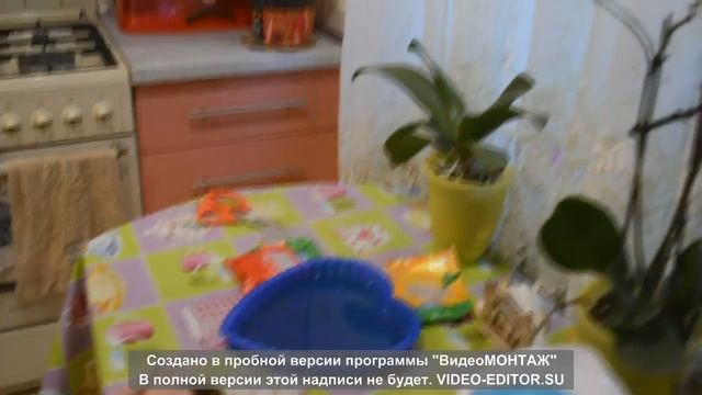 Желейный десерт 