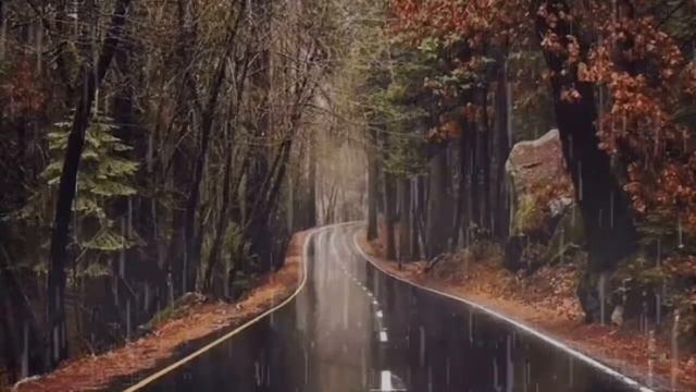 Rain sounds for relaxation and sleep  звуки дождя для сна и отдыха 16