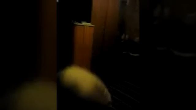 Танец под песню жить в кайф
