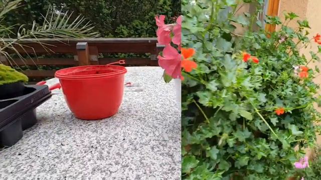 D4e1e52a7ee87f6b8b82f60aaba1f3ee