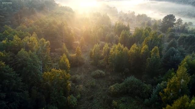 Красивая Расслабляющая Музыка  | Солнечное утро Педдал Холланд
фоновая музыка