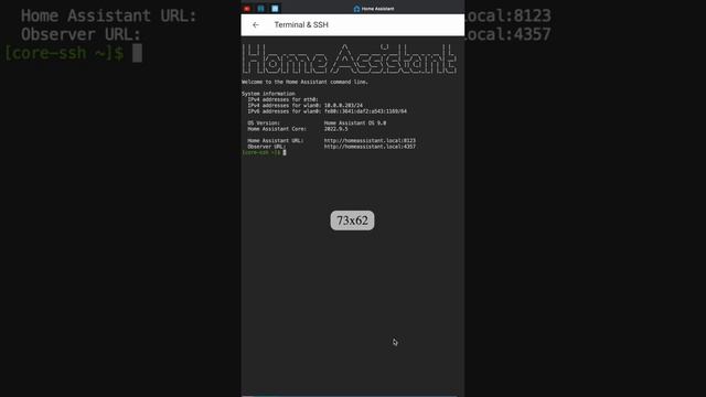 How To Downgrade Home Assistant To Any Version (use This For Brand New Installations Only)