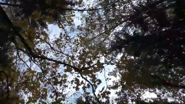 ФИЛАТОВСКИЕ ОЗЁРА И РЕКА КУЗЬМИНКА