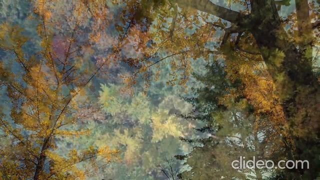 Русский размер - Вот и всё_ОСЕНЬ