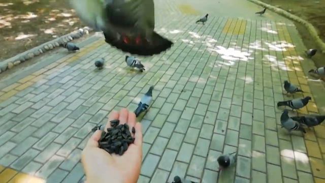 Кисловодск, в парке)