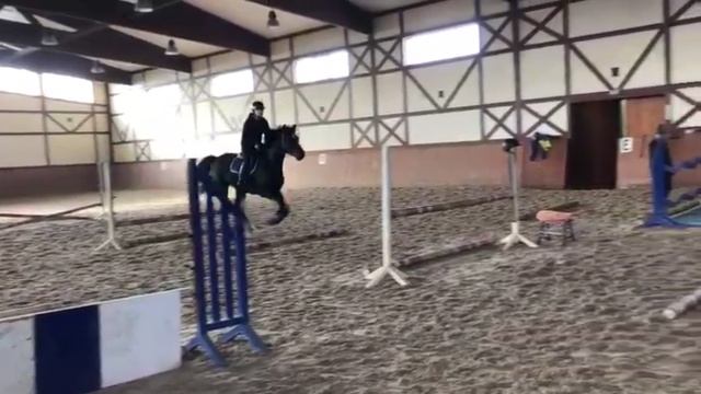 Тренирую лошадь!