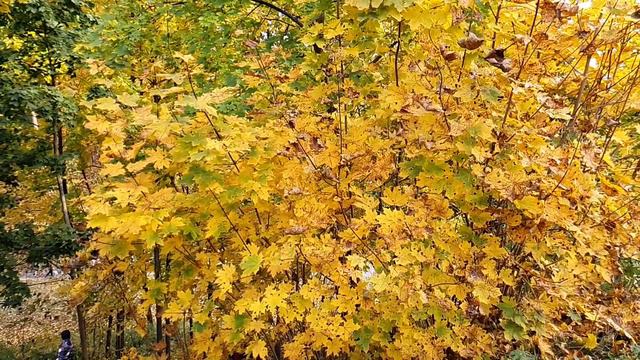 6e2fe6486c6c1e73543d2cd86d576d52