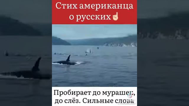 стих американца про русских