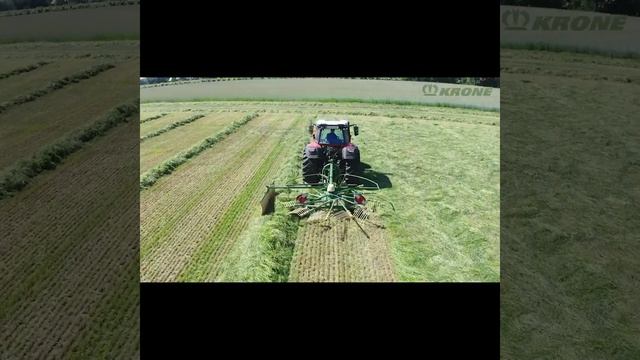 НОВИНКИ 2021: модели Swadro